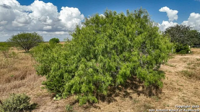 10+/- ACRES CR 152 Kenedy, TX 78119
