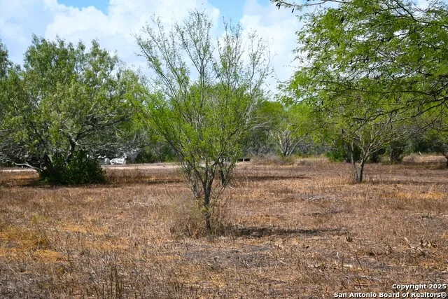 10+/- ACRES CR 152 Kenedy, TX 78119