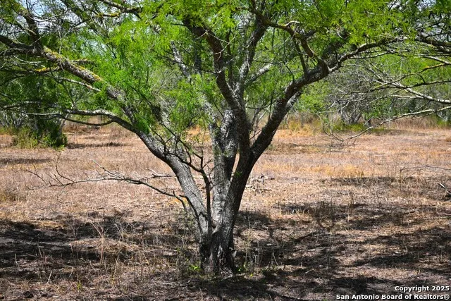 10+/- ACRES CR 152 Kenedy, TX 78119