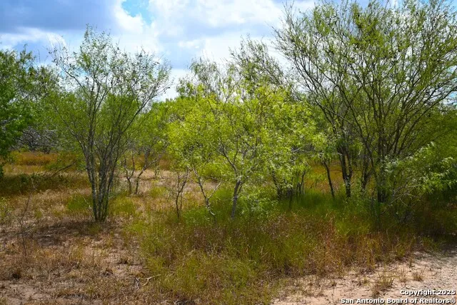 10+/- ACRES CR 152 Kenedy, TX 78119