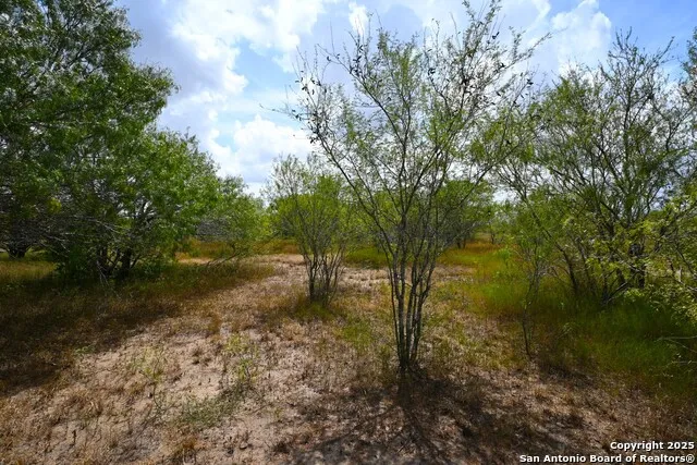 10+/- ACRES CR 152 Kenedy, TX 78119
