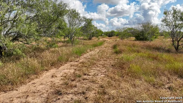 10+/- ACRES CR 152 Kenedy, TX 78119