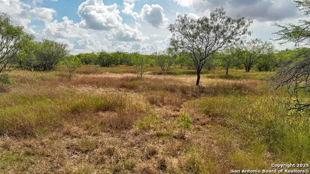 10+/- ACRES CR 152 Kenedy, TX 78119