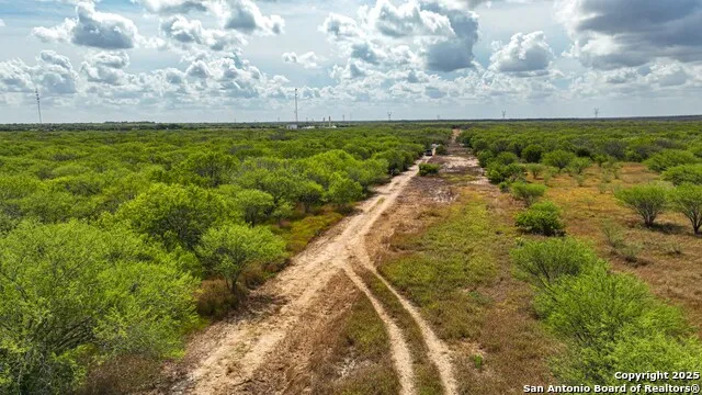 10+/- ACRES CR 152 Kenedy, TX 78119