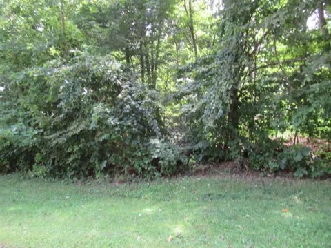 2 Deep Woods Drive