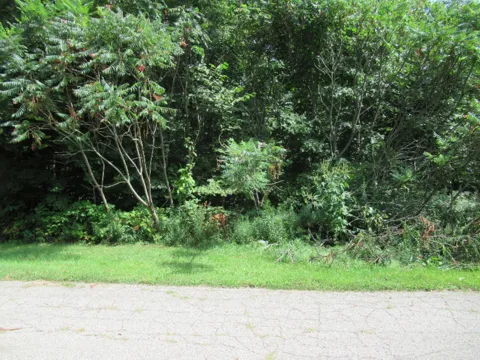 3 Deep Woods Drive