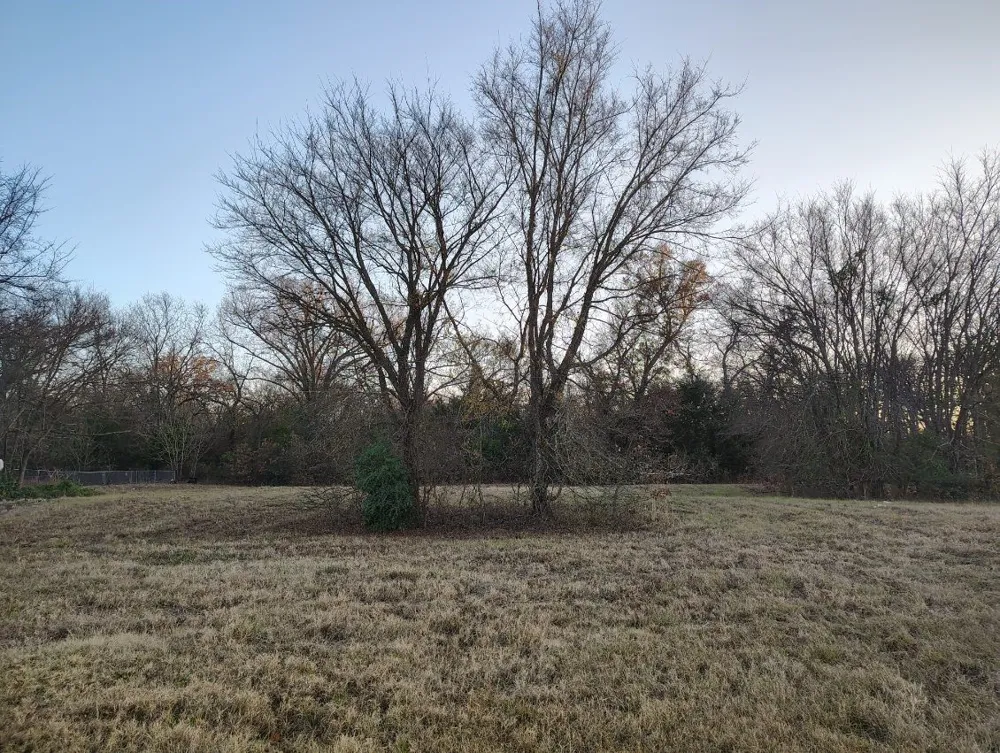 16 Whitefoot Quitman, TX 75783