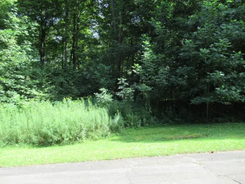 4 Deep Woods Drive