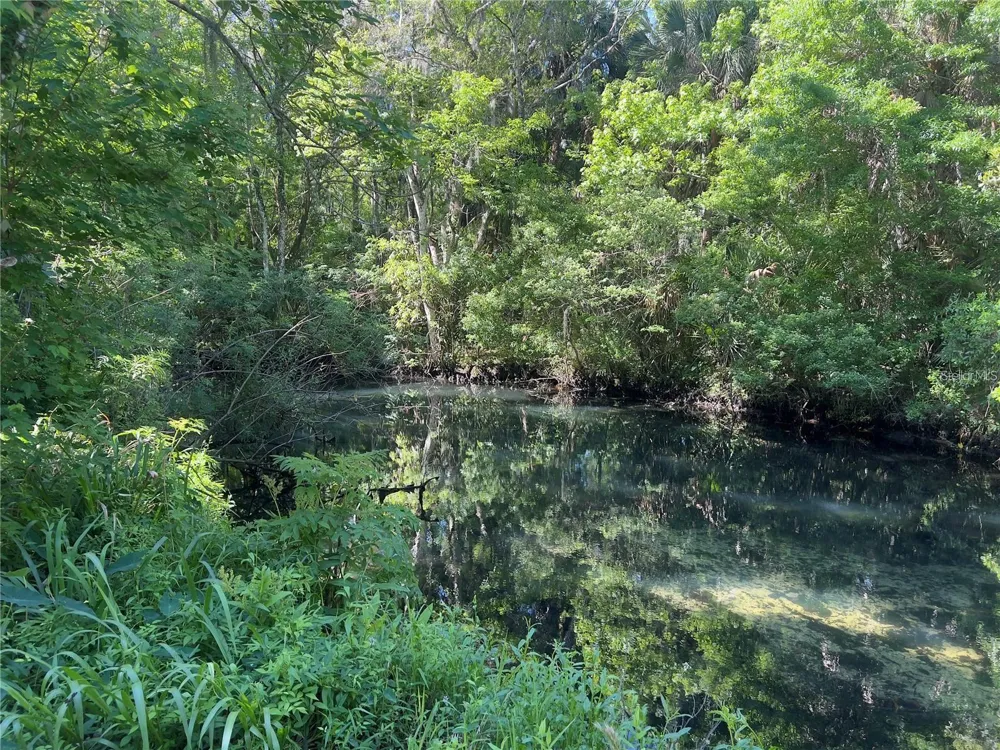 332 NW CRYSTAL STREET Crystal River, FL 34428