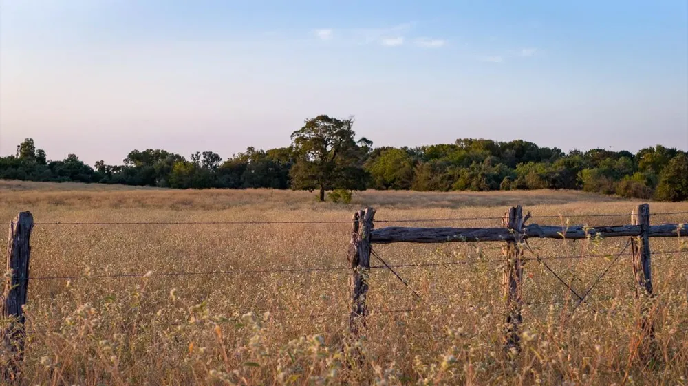 10 Providence Road Calvert, TX 77837