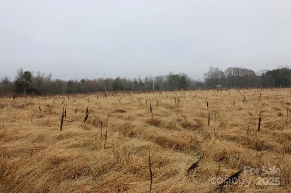 3.02+/-AC Bess Road #LOT F Bessemer City, NC 28016