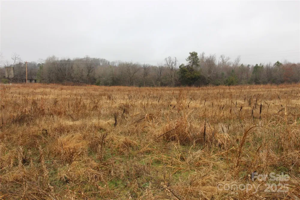 3.02+/-AC Bess Road #LOT F Bessemer City, NC 28016