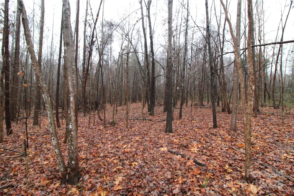 3.02+/-AC Bess Road #LOT F Bessemer City, NC 28016
