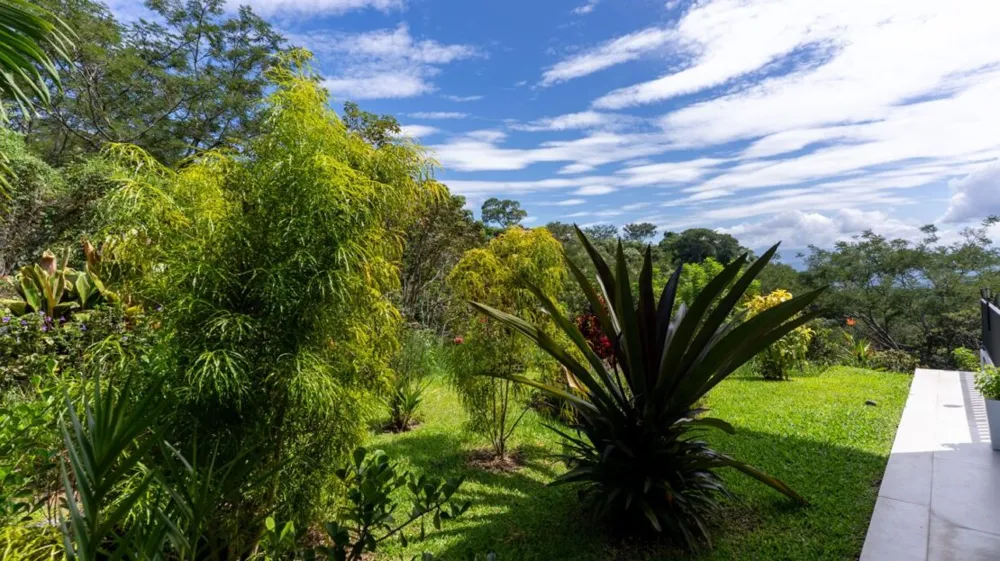 Modern gem in the natural setting Out of State, OS 20505