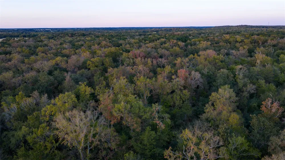 1 Red Hill Road Road Calvert, TX 77837