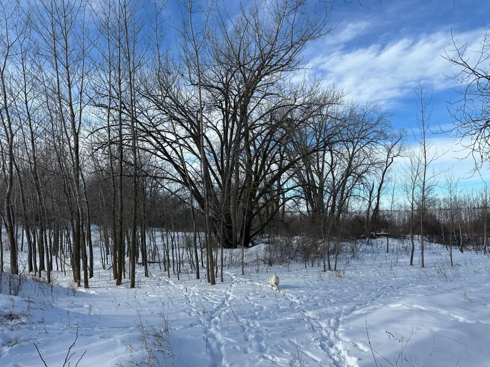 TBD County Highway 10 Fergus Falls, MN 56537