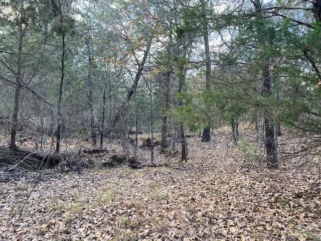 CR 1200 Athens, TX 75751
