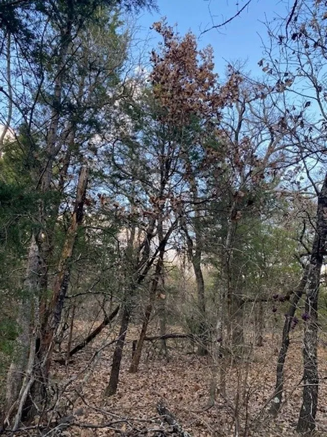 CR 1200 Athens, TX 75751