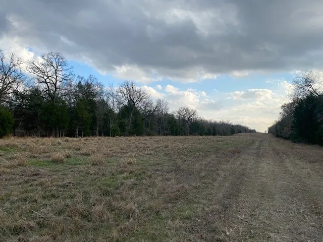 CR 1200 Athens, TX 75751