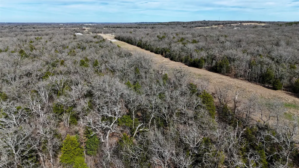 CR 1200 Athens, TX 75751