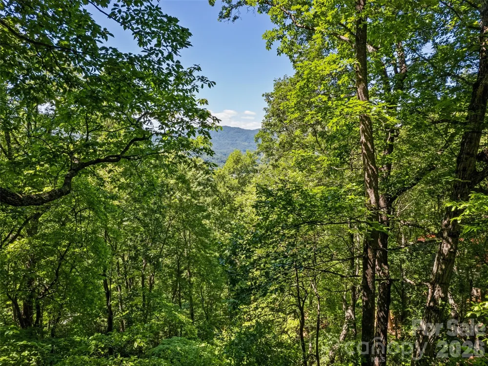1392 Mount Chalet Road Canton, NC 28716