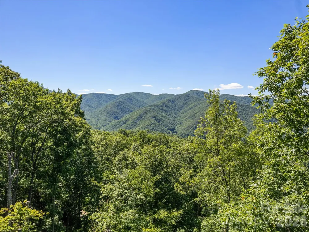 1392 Mount Chalet Road Canton, NC 28716