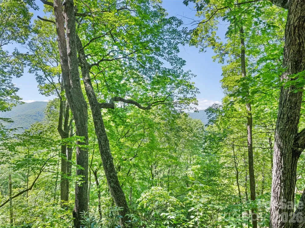1392 Mount Chalet Road Canton, NC 28716