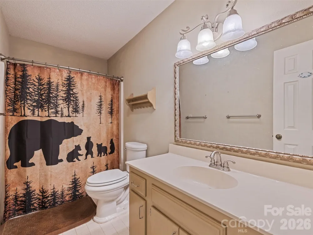 1392 Mount Chalet Road Canton, NC 28716