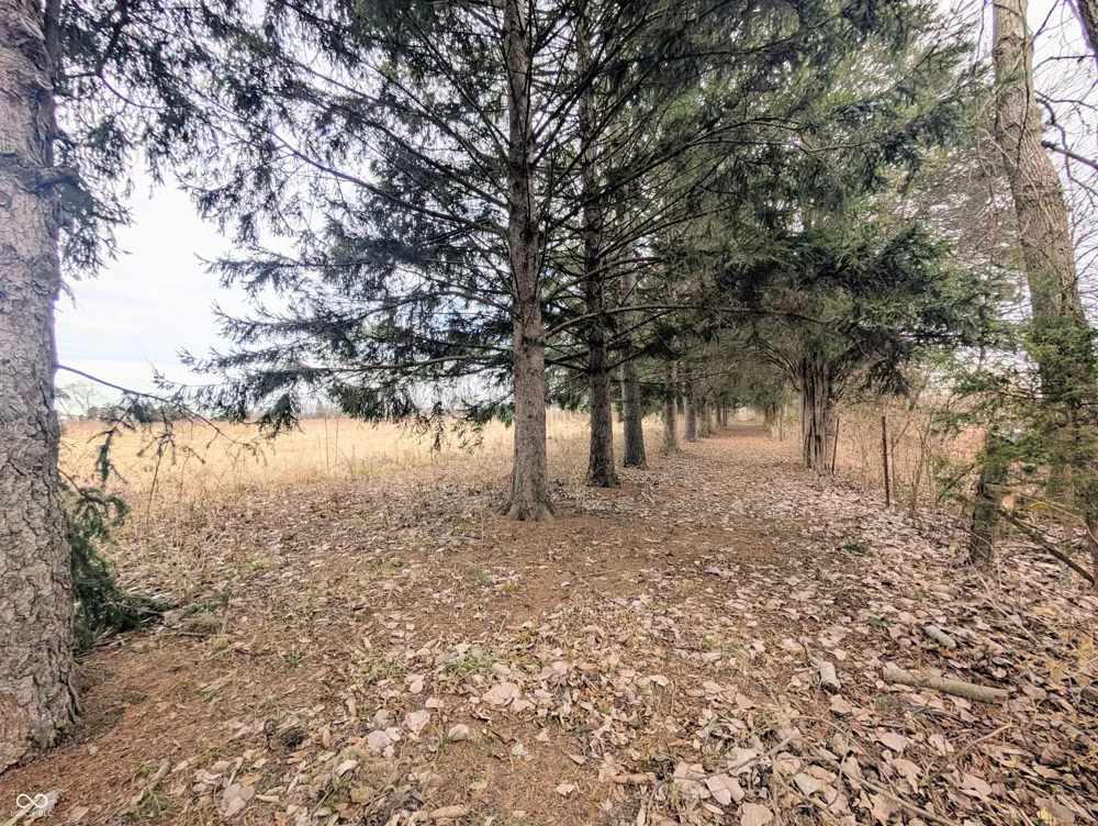 5599 State Road 9 Hope, IN 47246