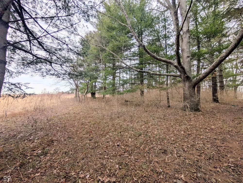 5599 State Road 9 Hope, IN 47246