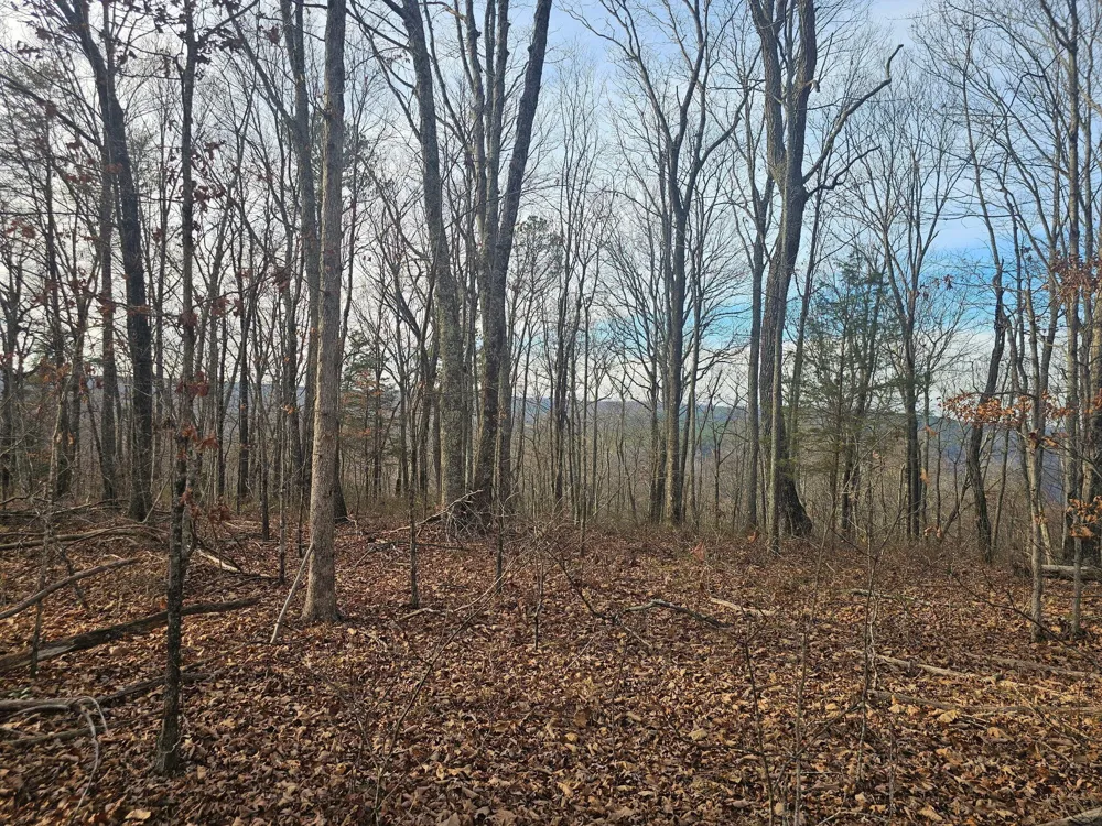2900300 Smith Mountain Dunlap, TN 37327