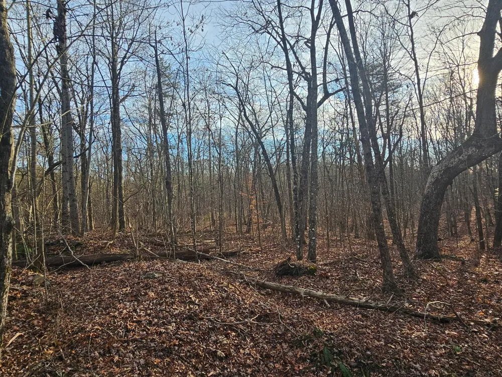 2900300 Smith Mountain Dunlap, TN 37327