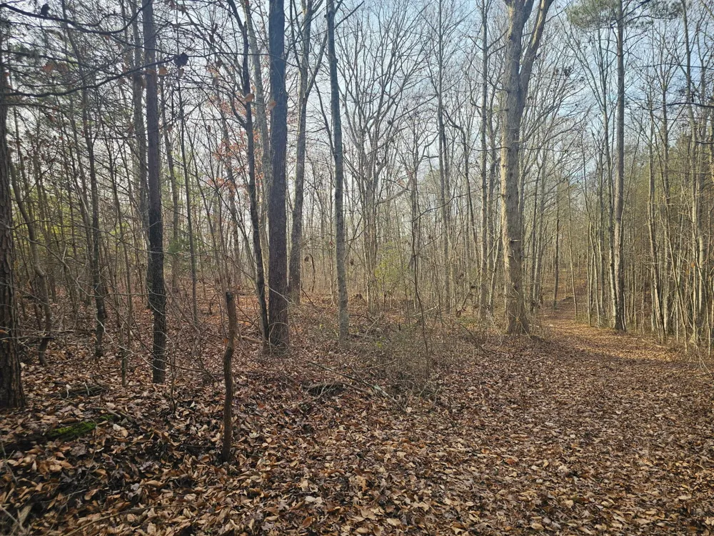 2900300 Smith Mountain Dunlap, TN 37327