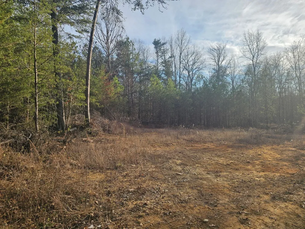 2900300 Smith Mountain Dunlap, TN 37327