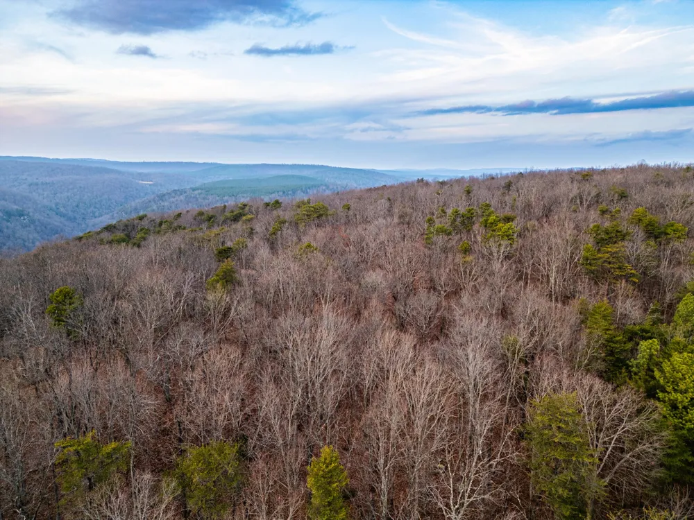 2900300 Smith Mountain Dunlap, TN 37327