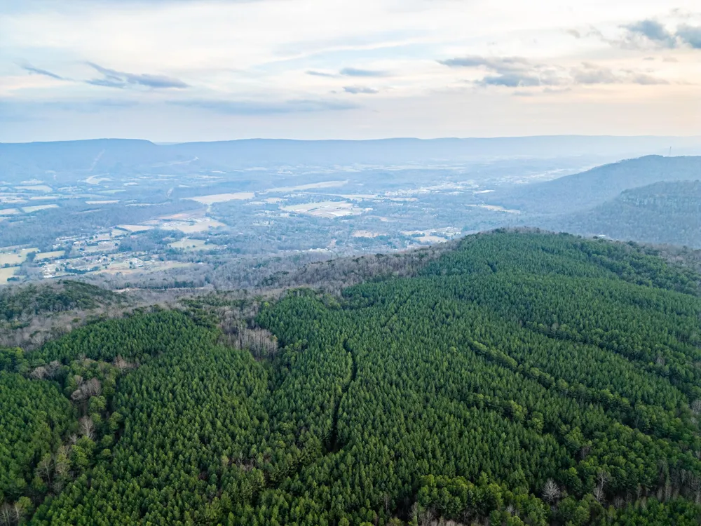 2900300 Smith Mountain Dunlap, TN 37327