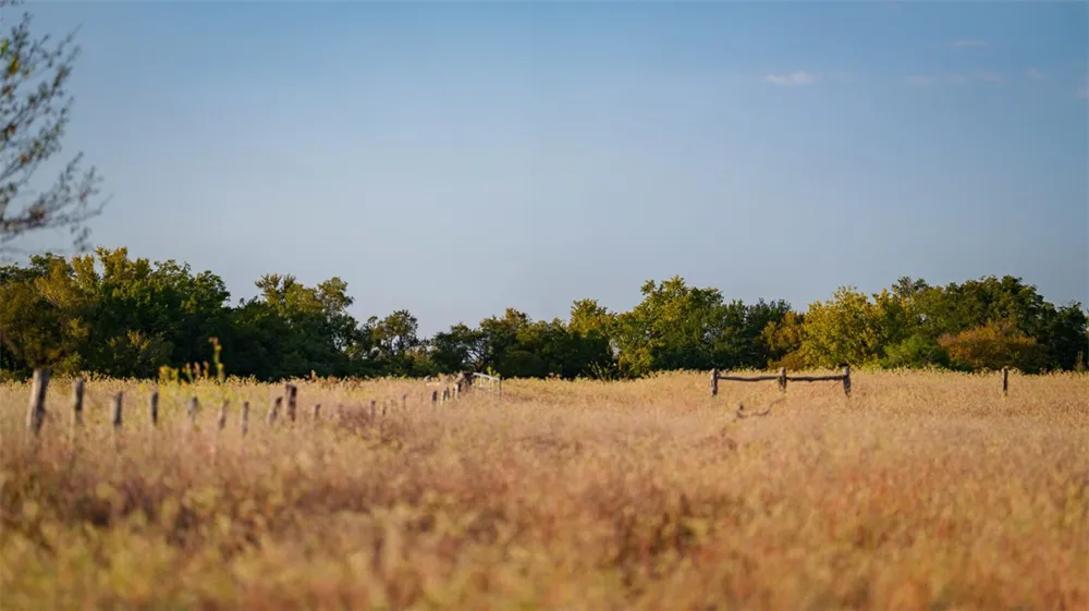 7 Providence Rd Road Calvert, TX 77837