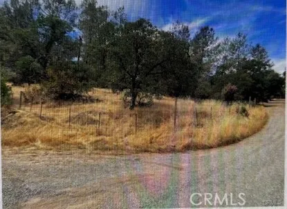 Grimont Road