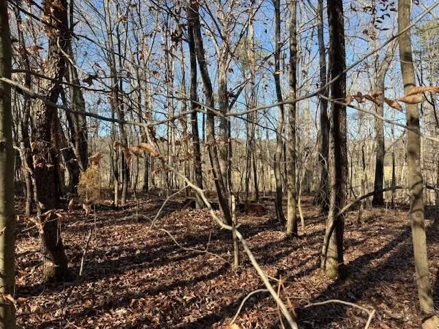 1 County Road 751 Valley Head, AL 35989