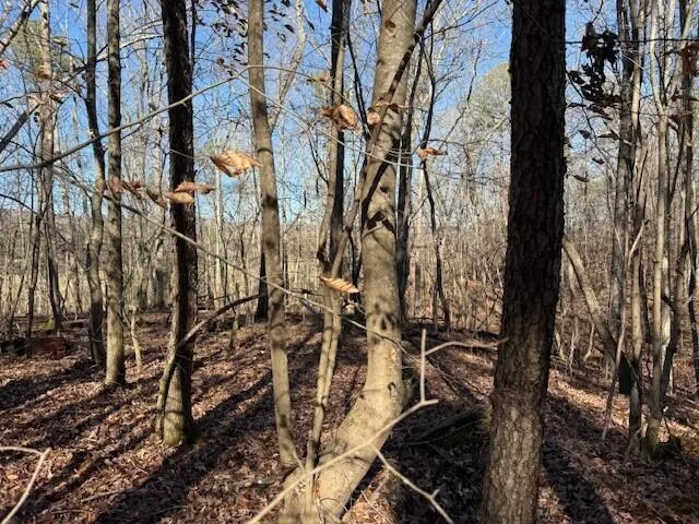 1 County Road 751 Valley Head, AL 35989