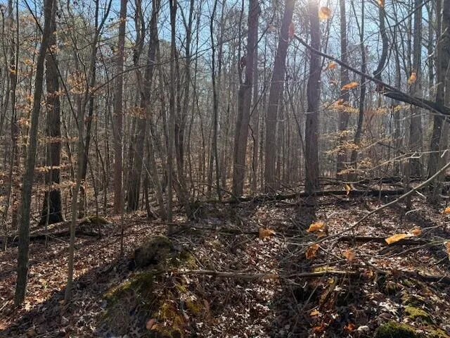 1 County Road 751 Valley Head, AL 35989