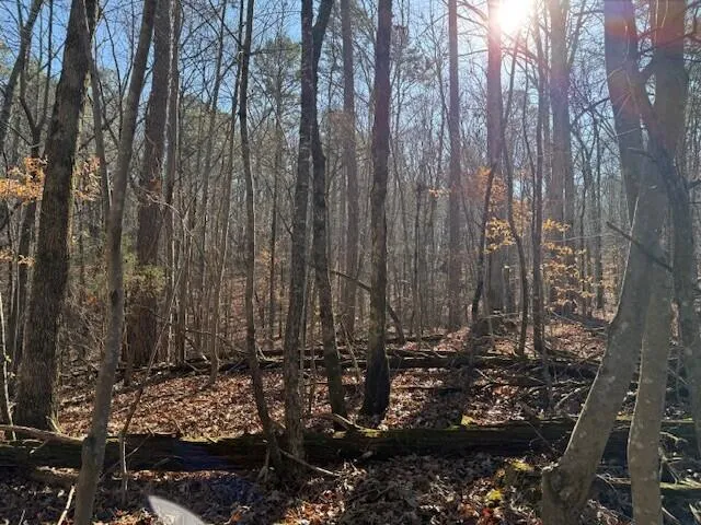 1 County Road 751 Valley Head, AL 35989