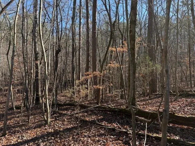 1 County Road 751 Valley Head, AL 35989