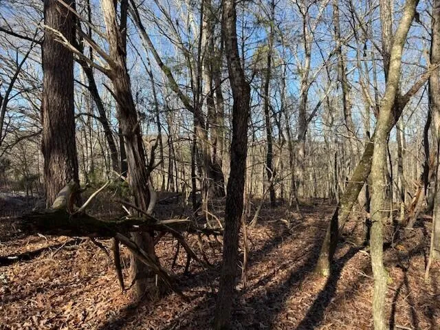 1 County Road 751 Valley Head, AL 35989