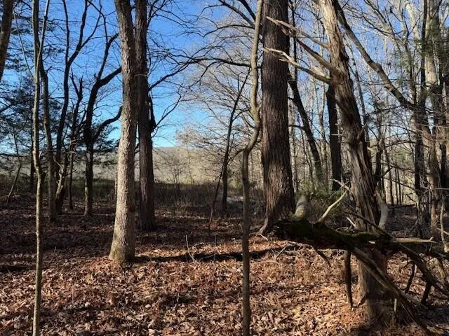 1 County Road 751 Valley Head, AL 35989
