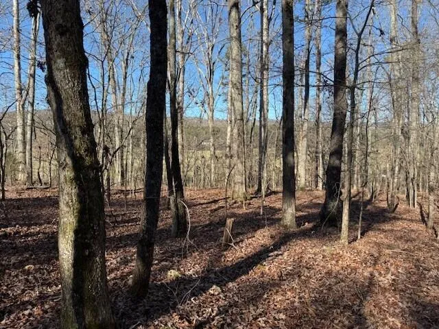 1 County Road 751 Valley Head, AL 35989