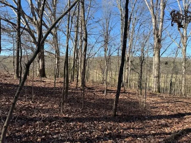 1 County Road 751 Valley Head, AL 35989