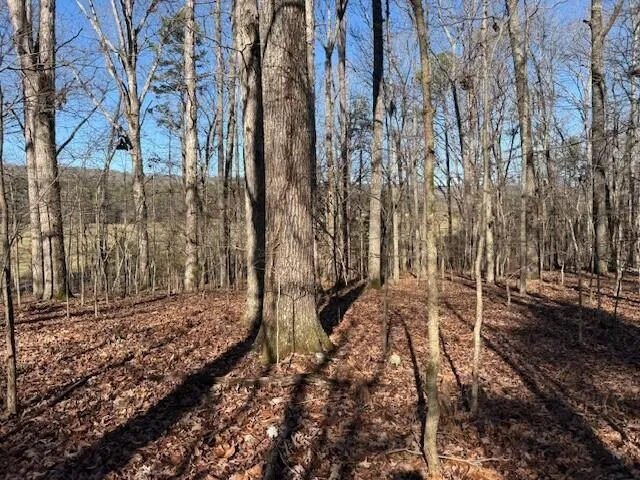 1 County Road 751 Valley Head, AL 35989