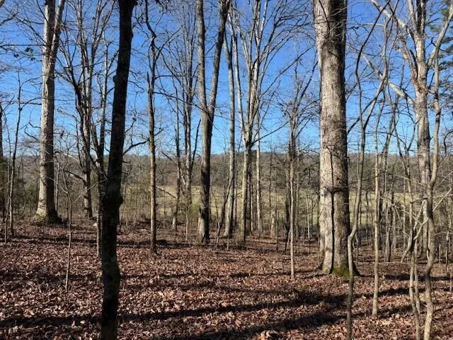 1 County Road 751 Valley Head, AL 35989