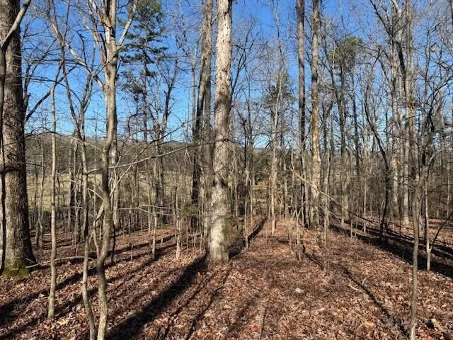 1 County Road 751 Valley Head, AL 35989